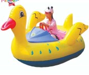 ELECTRIC BOAT Manufacturers, Supplier in Delhi NCR